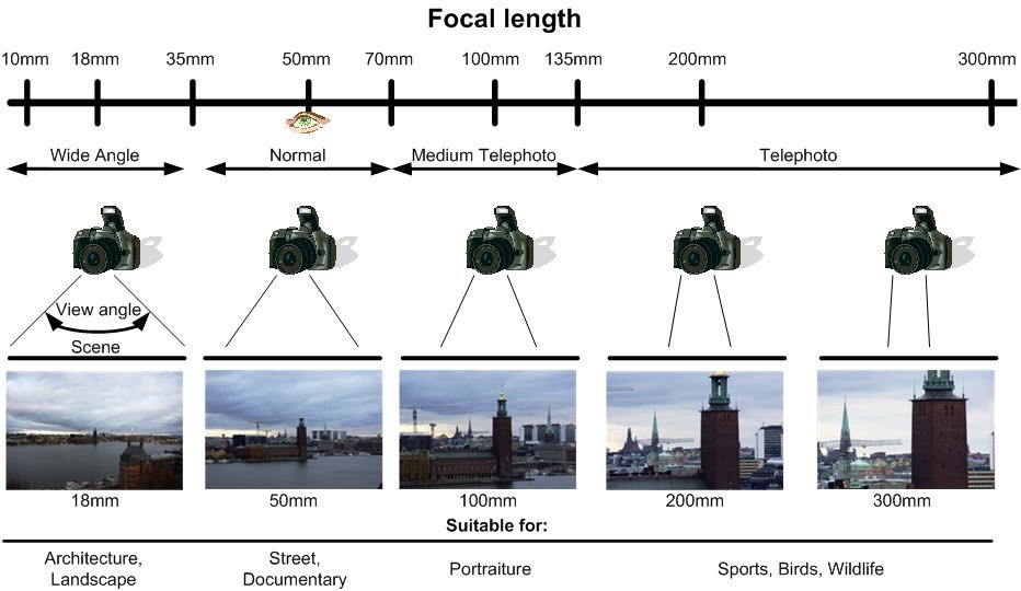 Crop FactorCamera sensors are the heart of the camera, and the bigger the sensor, the more expensive the camera is. Each sensor has a crop factor that is multiplied by the focal length of the lens. Hence, Full Frame has (x1 CF) and it gives the true depth of the lens
