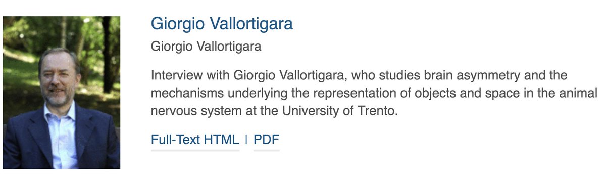 gVallortigara's tweet image. My Q &amp;amp; A on Current Biology #imprinting #brainasymmetry #laterality
authors.elsevier.com/a/1ZME63QW8RqJ…