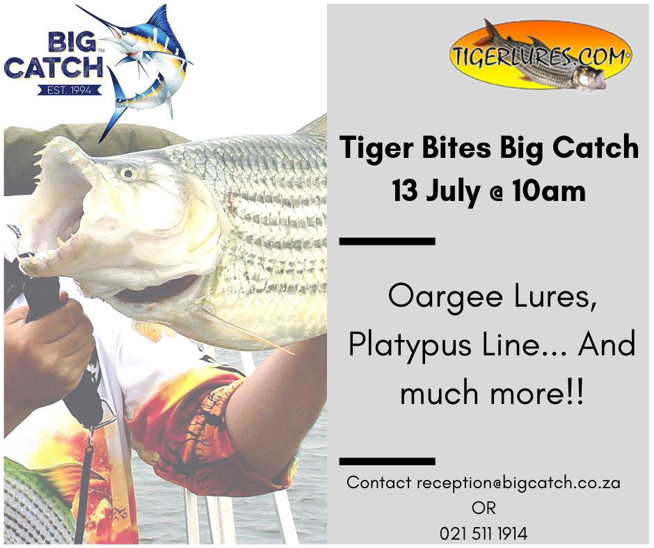 big catch paarden eiland