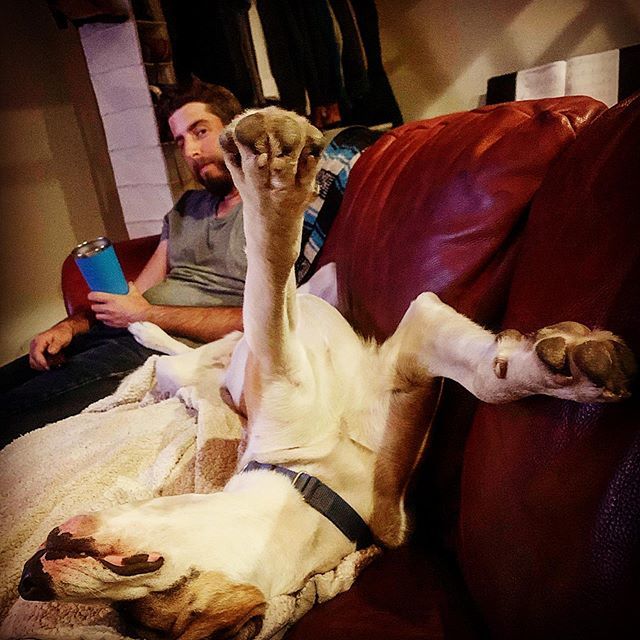 They’re silly ift.tt/2JvrnyO