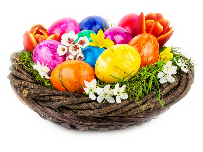 freepngclipart's tweet image. New PNG Today - Basket Egg Easter Osternest Das Free Frame #fruit #highdefinitiontelevision #food #basket #lenape #christmas #png  freepngclipart.com/free-png/82414…