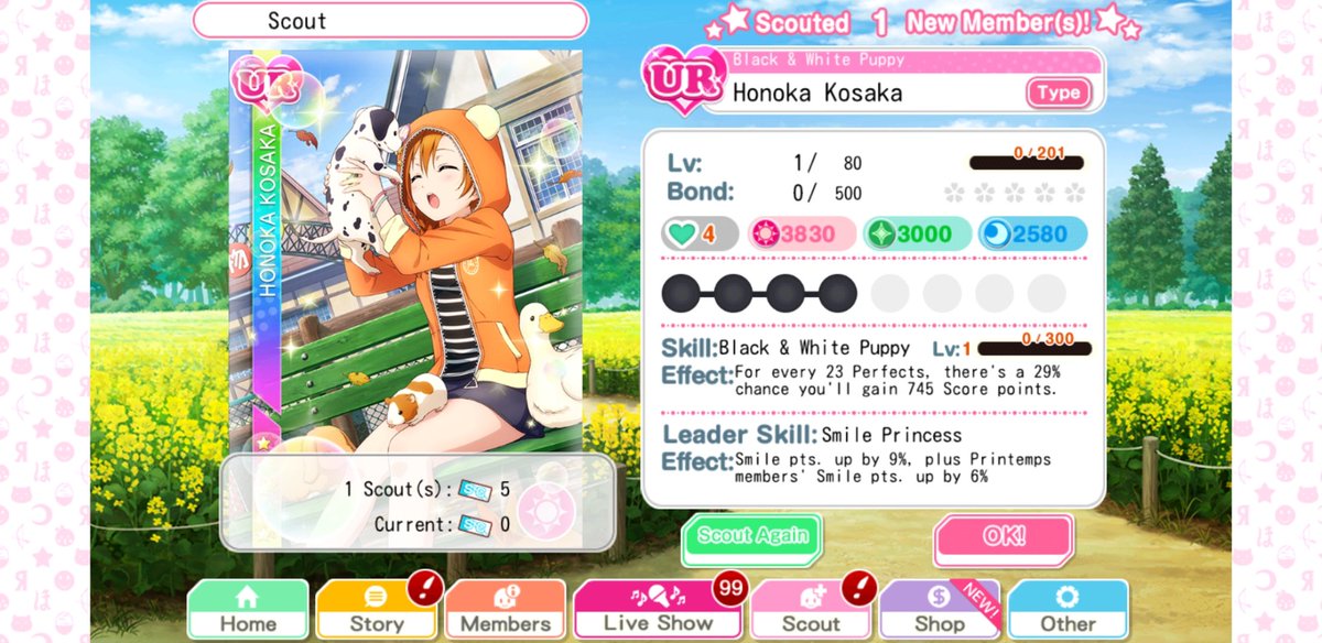 day 42: yes youve seen this honoka card before BUT this time on the scouting screen so im counting it as a different pic!! bc im so happy!! i can naturally idolize her, and honoka has just blessed me recently w her urs 