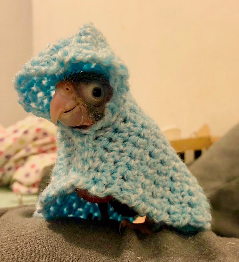 Con este puto frio y lluvias hay que estar preparados para todo, para todo dije... #LluviaGDL