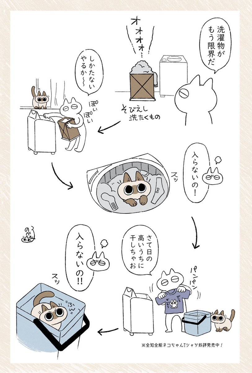 たのしいお洗濯 #ねこ日記 