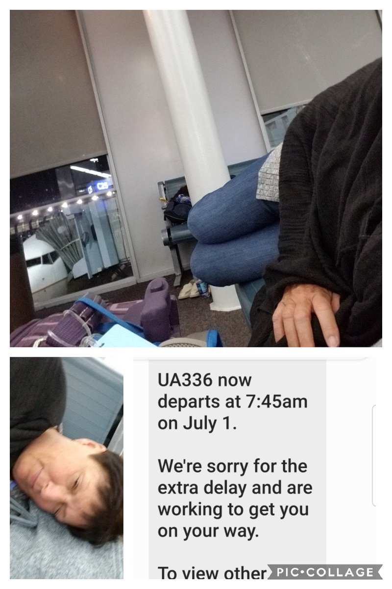 Nancy Pfisterer tweet media