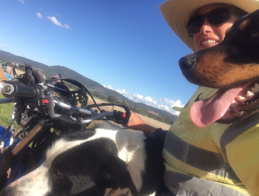 “Mum and Dad encouraged my sister and I to be hands on and, to be honest, there’s not much us two girls cannot do!” ~ NSW farmer Carlie Venables from Glasson Performance Horses on the importance of family in her farming career: bit.ly/2XBXuls #daughtersinag #womeninag