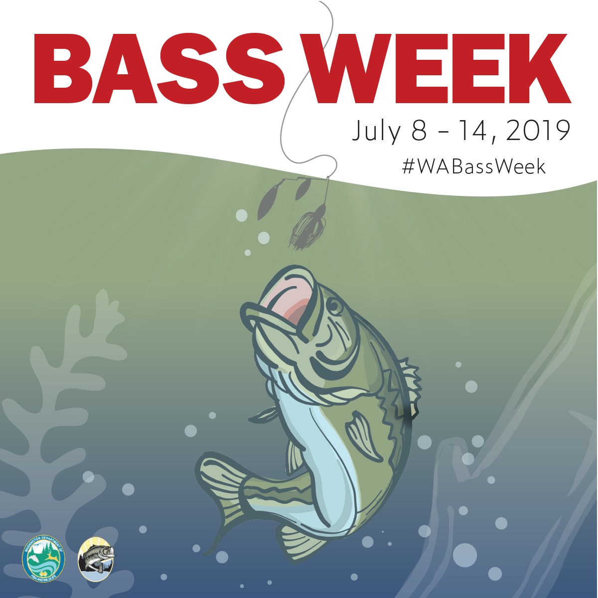WDFW's tweet photo. Welcome to Bass Week! All week long we will be discussing all things bass fishing Please join in the discussion, ask questions, and have fun! We will have tips and tricks, recipes, videos, a live Facebook Q & A, and even a Big Catch and photo/video contest. #Wabassweek https://t.co/z1nzA97O5x