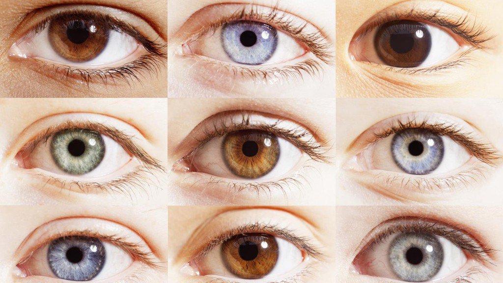 mazhry's tweet photo. "Eye color often is the genetic trait that fascinates parents the most as a child develops." https://t.co/LiyIsbziLB #Eyebasics #EyeInformation #EyeFacts #EyeAnatomy #Eyecare https://t.co/FWVFVEyFep