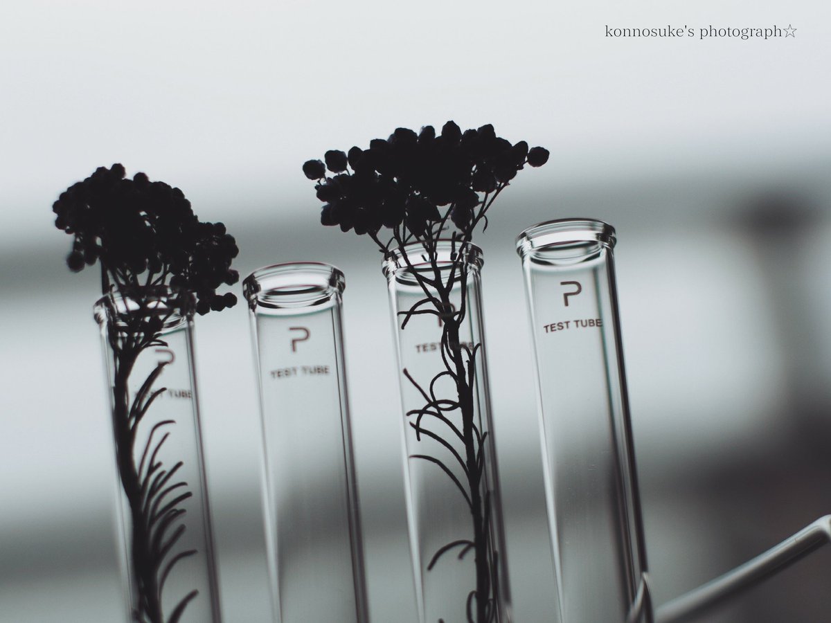 試験管 Twitter Search