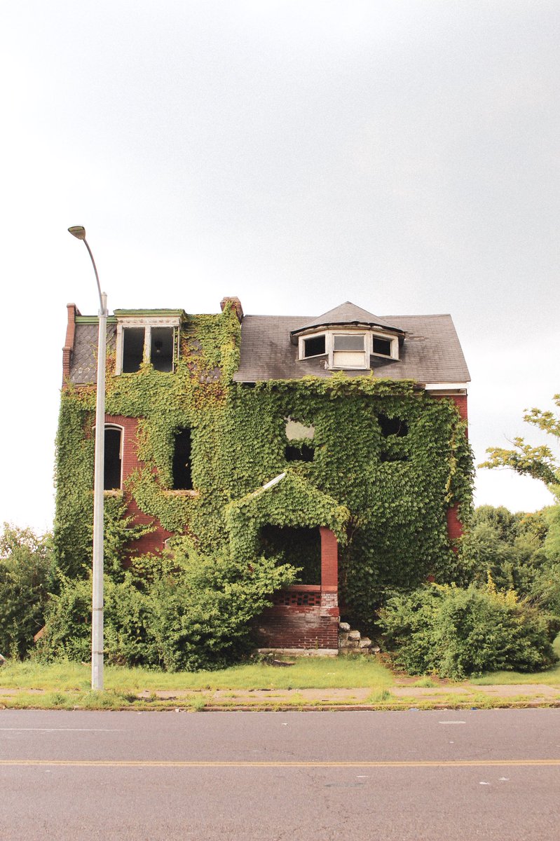 vine covered house