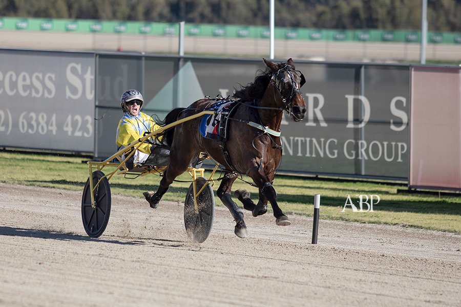 ashbrennanphoto's tweet photo. Race 1 @TPMenangle - MOONSHINE STRIDE / Noel Daley &amp; @Leonard110899 #TheTrots https://t.co/3JS1jtW2Fp