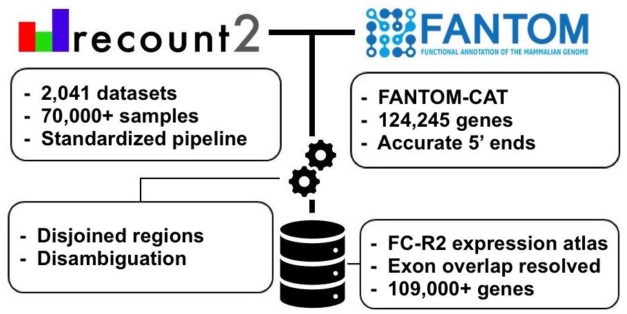 difersanchez's tweet photo. (2/7) For the #FCR2 Atlas we used #recount2 and the FANTOM-CAT annotation, enabling comprehensive analyses of gene expression across multiple datasets. From @marchionniLab https://t.co/fyAYEMcLAF