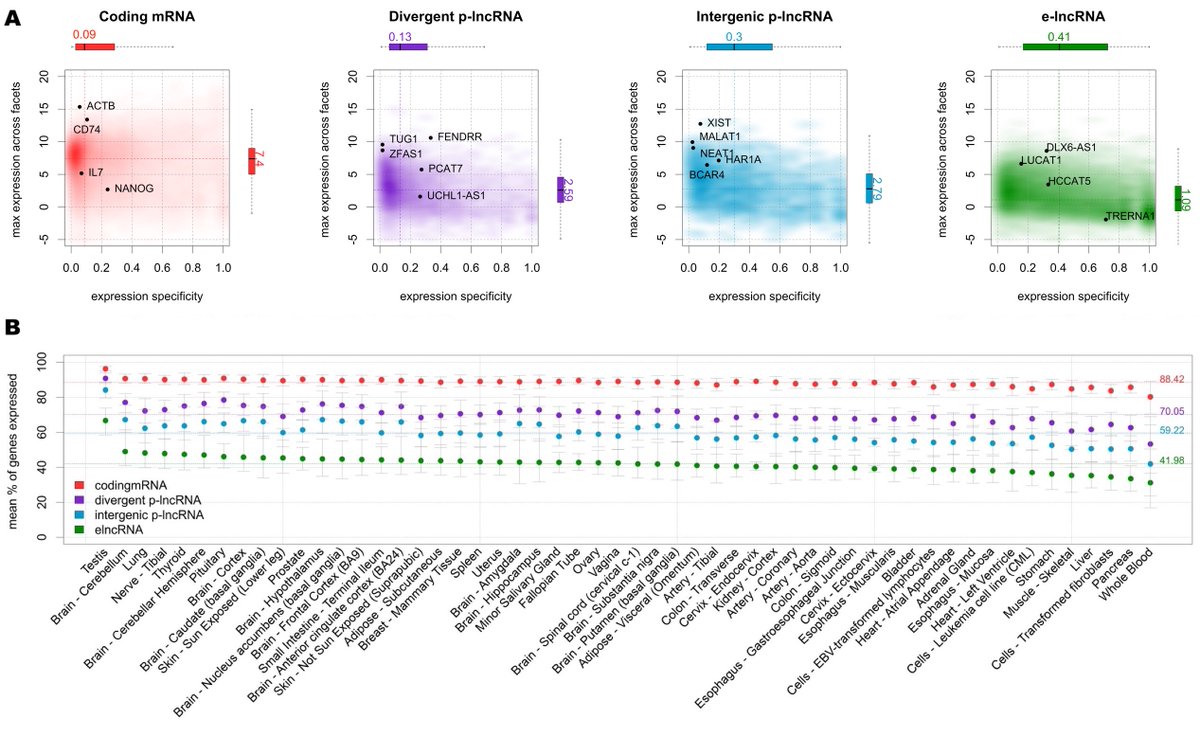 difersanchez's tweet photo. (5/7) Using the #FCR2 Atlas, we confirmed that enhancer RNA expression is more tissue and cell specific than the expression of coding genes. From @marchionniLab https://t.co/OSjVnPTAE2