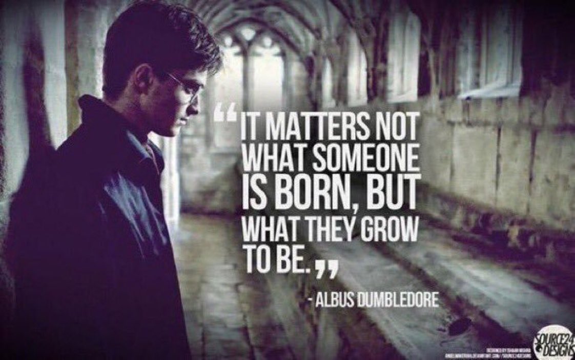 "It matters not what someone is born, but what they grow to be."
-Albus Dumbledore

#19YearsGobletofFire