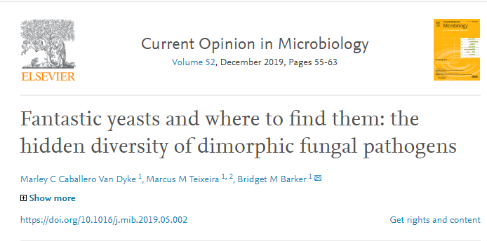 lisafstinson's tweet image. STOP THE INTERNET! I just found the world's best paper title.