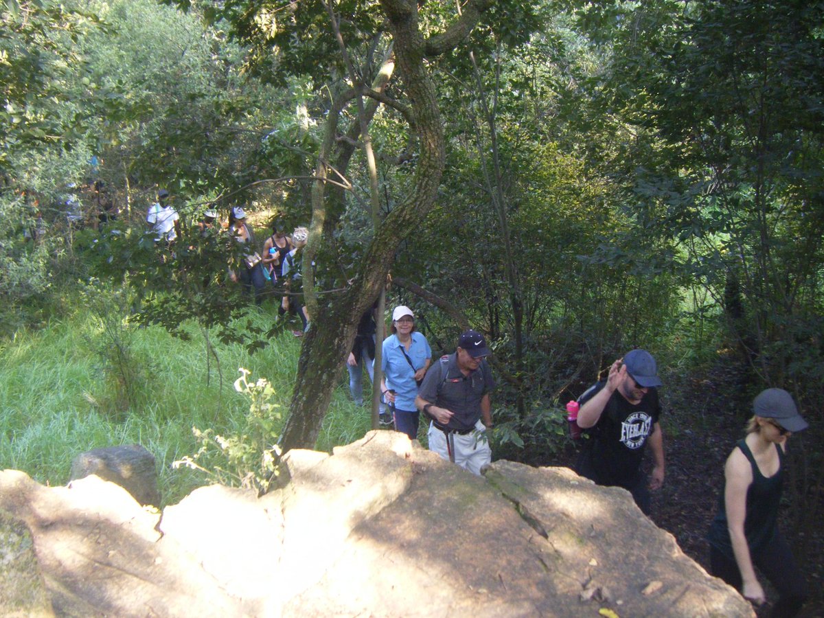 Leisure Options tweet media