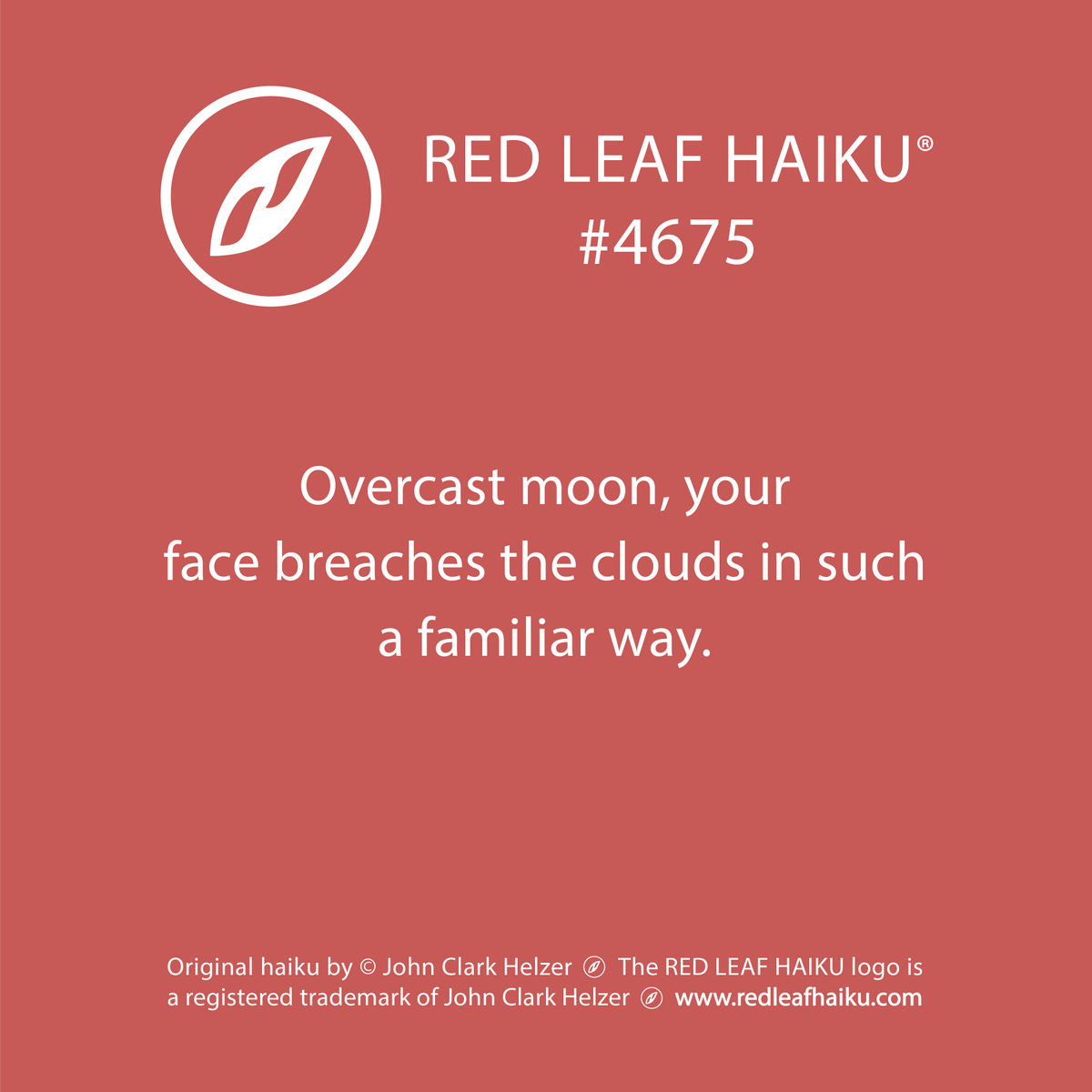 redleafhaiku's tweet photo. Overcast moon, your 
face breaches the clouds in such 
a familiar way. 
🍁 Red Leaf Haiku by © John Clark Helzer 
#redleafhaiku #haiku #poetry #poem #overcast #moon #clouds #familiarway https://t.co/dKg65E0ZEU