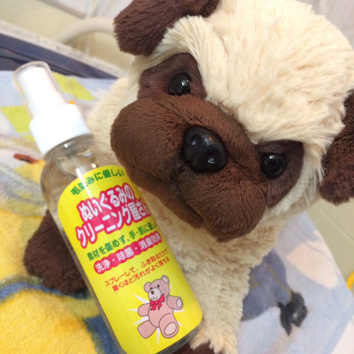 ぬいぐるみのクリーニング屋さん ぬいぐるみのクリーニング屋さん