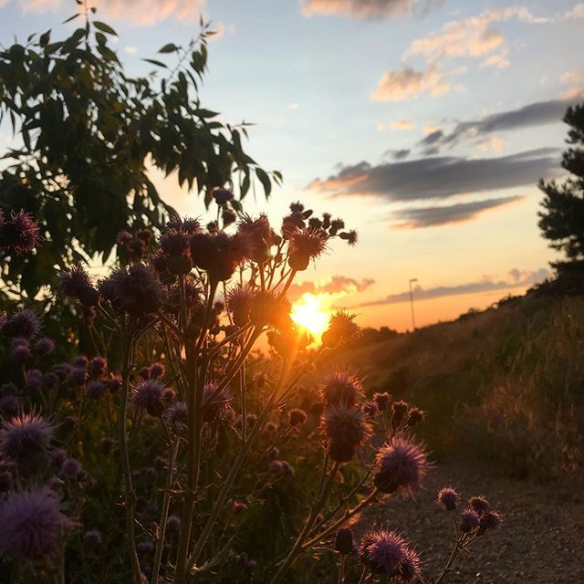 🌅 These are moments that make the memories. Watching a Boise sunset with the people I love the most. #sunset ift.tt/32jxNd4