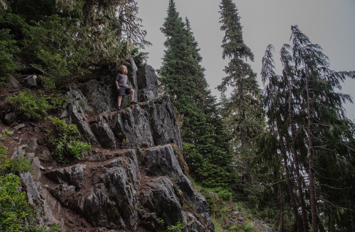 TNTAdam's tweet image. My boys play hard. #PNW #hiking #CarbonRiver