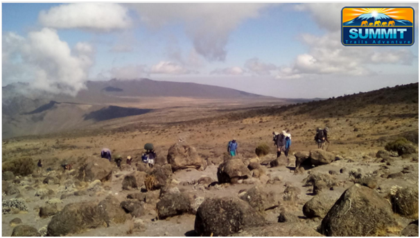 SummitTrailsAdv's tweet photo. While you can Climb Kilimanjaro all year round, certain months are recommended over others as they are drier and will have better weather conditions.
The months from June through to October are the most popular months for the #KilimanjaroClimb. 
book @ https://t.co/7a4XILoLWf https://t.co/VGmiqUNqRP