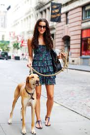 strackerdogs's tweet image. #puppies #eyes #animal #pets #petsofinstagram #puppiesofinstagram #fluffy #weeklyfluff #adorable #socute #corgi #gsd #husky #goldenretriever #goldenretrievers #goldenretrieversofinstagram #like4like#likeforfollow
#dog #dogsofinstagram #dogs #puppy #instadog