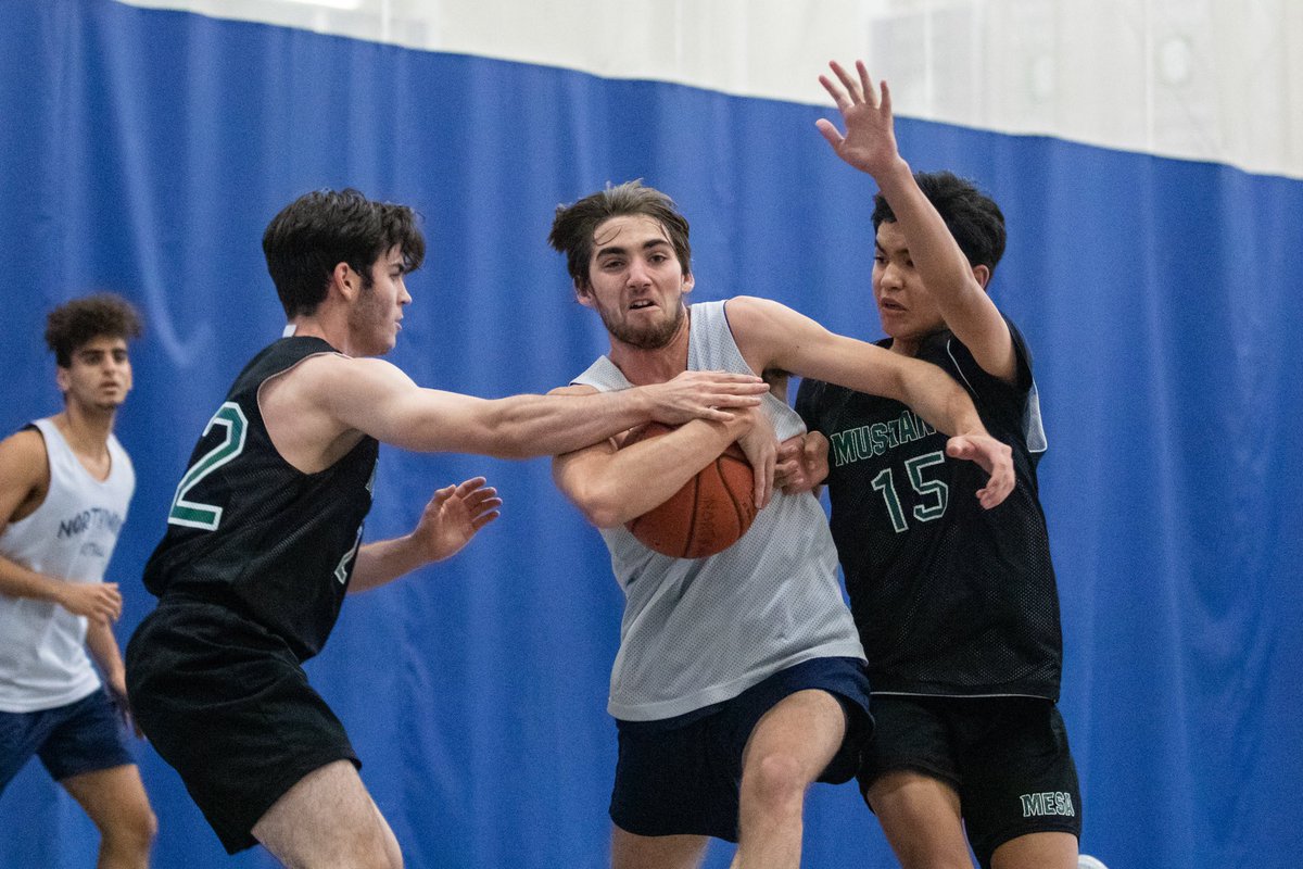 Harrison Zhang tweet media