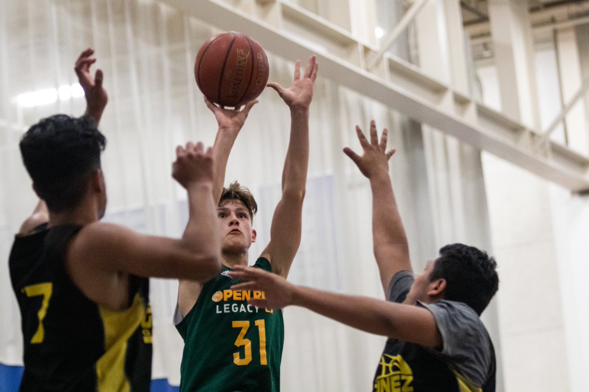 Harrison Zhang tweet media