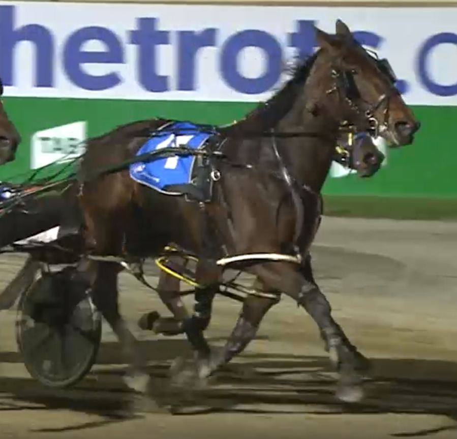 apexguy01's tweet photo. VicBred Silver Consolation Finals tonight at Melton - Skye aka Sheza Beach Dream has drawn barrier 1 and should get the perfect run of the race, include in all your multiples, and we all hoping she wins #GoSkye https://t.co/F1d8jBe2aF
