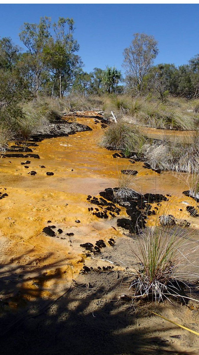 roconscicom's tweet photo. So excited to hear that the #Ewamian mob have received funding from Qld gov for a tourism project at the amazing #Talaroo hot springs.
Congratulations!
@DocSlinky @tarynkong @PadYeo
https://t.co/UQrk0h6vNQ https://t.co/AL6ZoLF1ZM