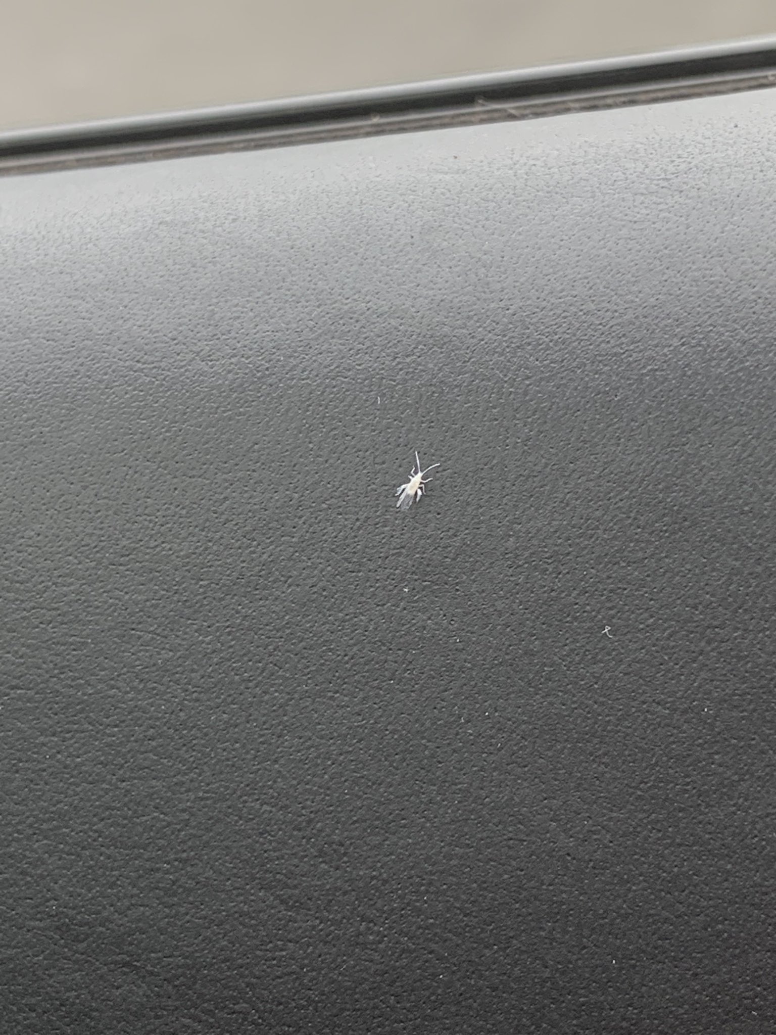 See Skuld S Tweet On Jul 9 19 Twitter