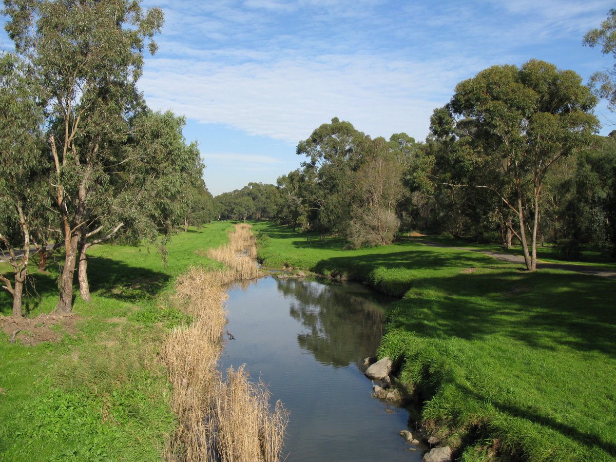 How do you undergo a major sewer upgrade in an environmentally sensitive area like the Dandenong Ranges? Read about how Iota and Yarra Valley Water are protecting the natural environment using new technology.  iota.net.au/case-studies/s…