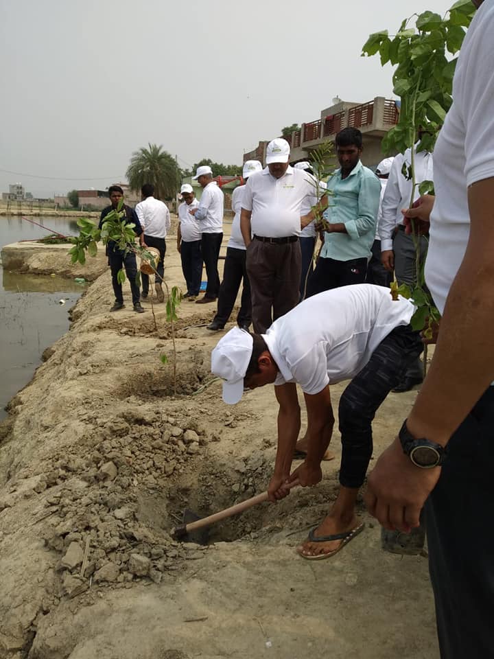 Greenyatra's tweet image. Clean drive and Plantation at Bhalsawa Lake, Delhi n Jalpura Pond.
@TheProjectjal  works PAN India for water conservation and management, rainwater harvesting and rejuvenates n create water bodies.
@saytrees_ind @ramveertanwarg 
  #ProjectJal #IOCL #Janshakti4Jalshakti #Jalshakti