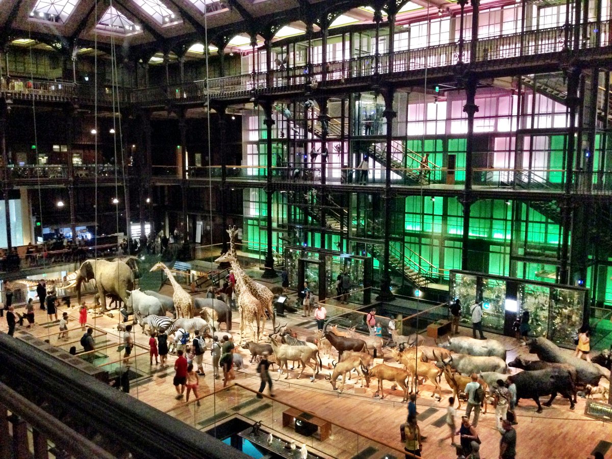 focusonparis's tweet photo. Museum #menagerie: jaw-dropping Grand Galerie de l'Évolution inside #Paris' #MuseumofNaturalHistory #museumsofparis #parisforkids #summerinparis #jardindesplantes #evolution https://t.co/fVjudwvnHj https://t.co/DgdFNPU7sn