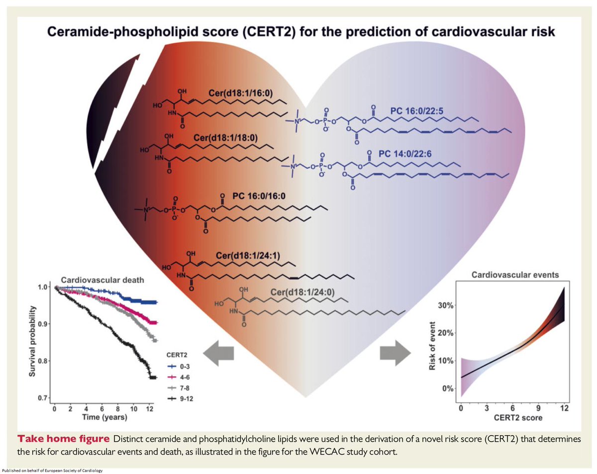 The quest for CV risk prediction using new biomarkers: risk score combining ceramides and phospholipids (CERT2) in patients with CAD showed C-statistic of 0.76 for CV death bit.ly/2JtNGVF

<a href="/escardio/">European Society of Cardiology</a> <a href="/TomLuscher/">CardioTomLuscher</a> #EHJ #ESCCoT #openaccess #cardiotwitter