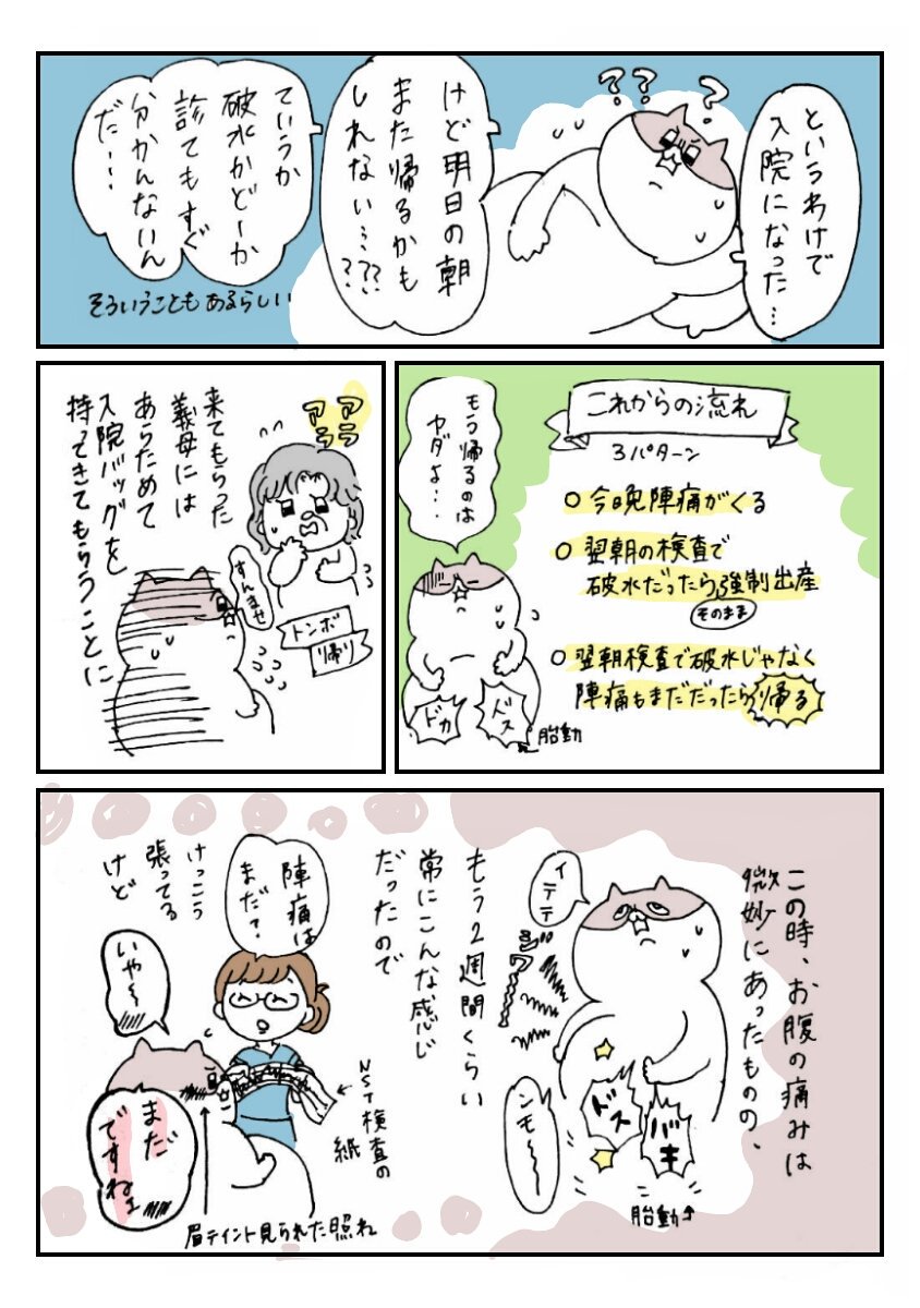 出産レポ⑤
はがし忘れた眉と入院
生理痛がひどい人はそれが普通だと思っちゃダメだぞ!
#出産レポ #コミックエッセイ #レポート