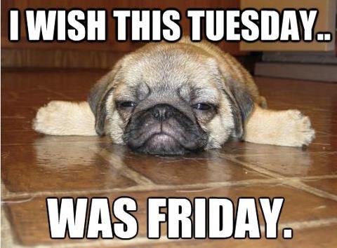 Claudia Money tweet media