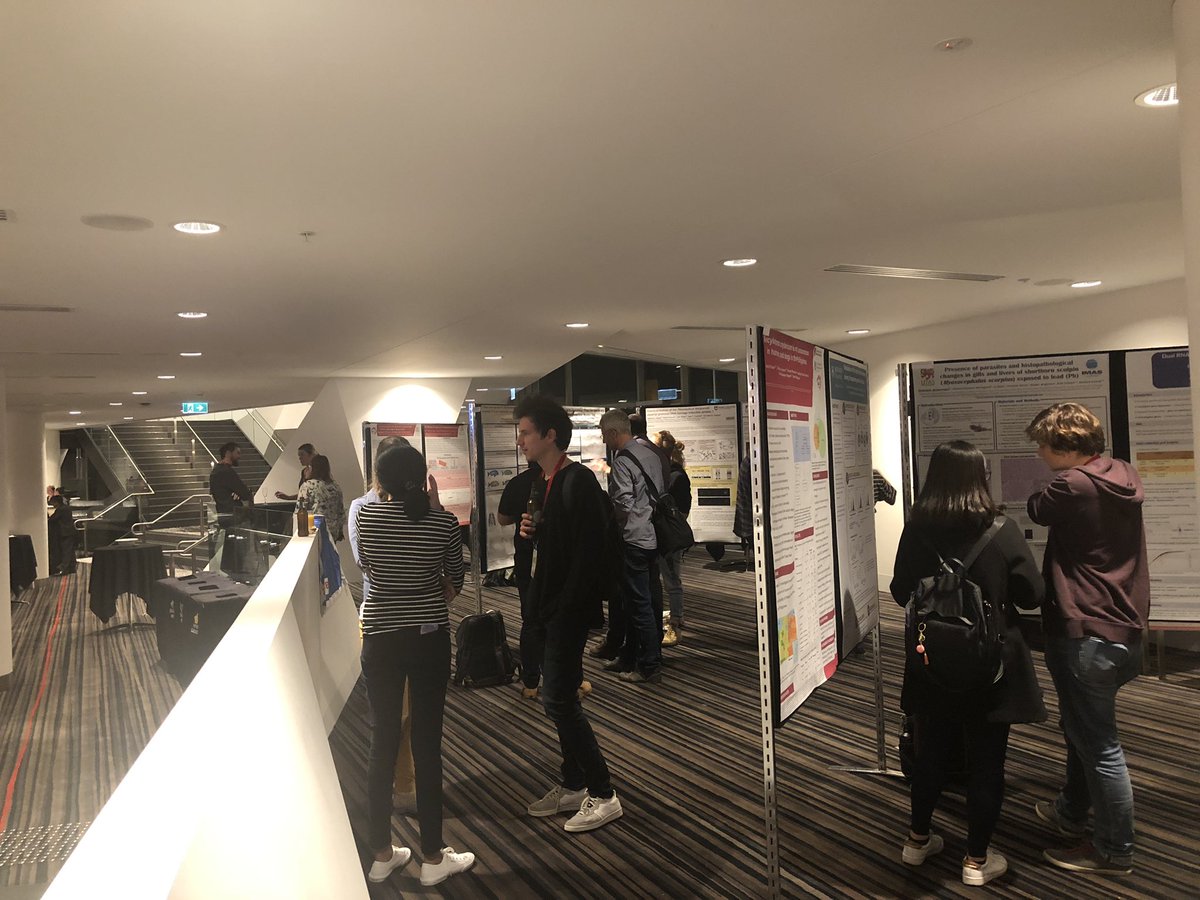 InfectiousBeth's tweet image. Poster session @AS_Para #2019ASP in full swing!