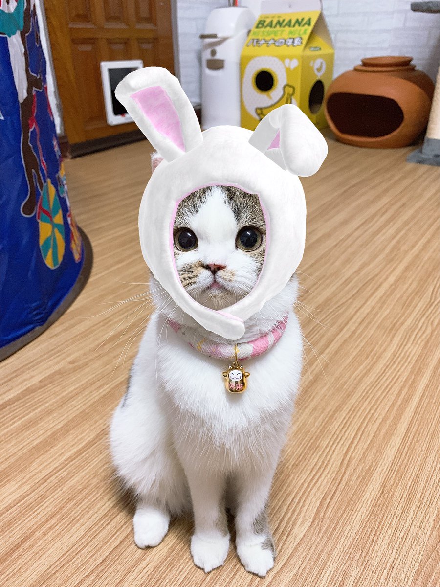 furbyfah's tweet photo. น้องซารังกับเครื่องหัวที่งานแฟนไซน์ค่ะ😳💗 https://t.co/Ff9FE5Xqvk