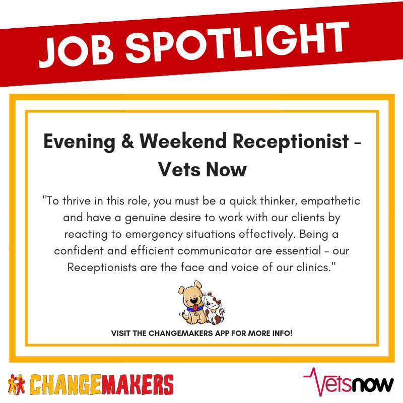 JOB SPOTLIGHT: Evening &amp; Weekend Receptionist - Vets Now 🐰

Learn more on the ChangeMakers app. #jobs #dundee #dundeejobs

Download the ChangeMakers app for FREE!
Apple: goo.gl/L0fhA1                              
Android: goo.gl/FA4RWj