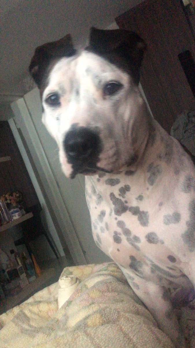 Nilsa Inoue Inoue (@inouenilsainoue) on Twitter photo 