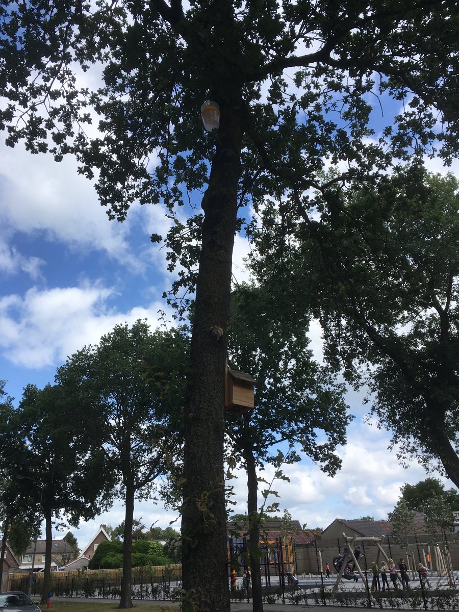 De start van het biologisch bestrijden van de “plaagrups” in onze gemeente. Mezenkasten die voor meer dan 60% bewoond waren en feromoonvallen om de mannelijke vlinders van de rups weg te vangen om verspreiding tegen te gaan.