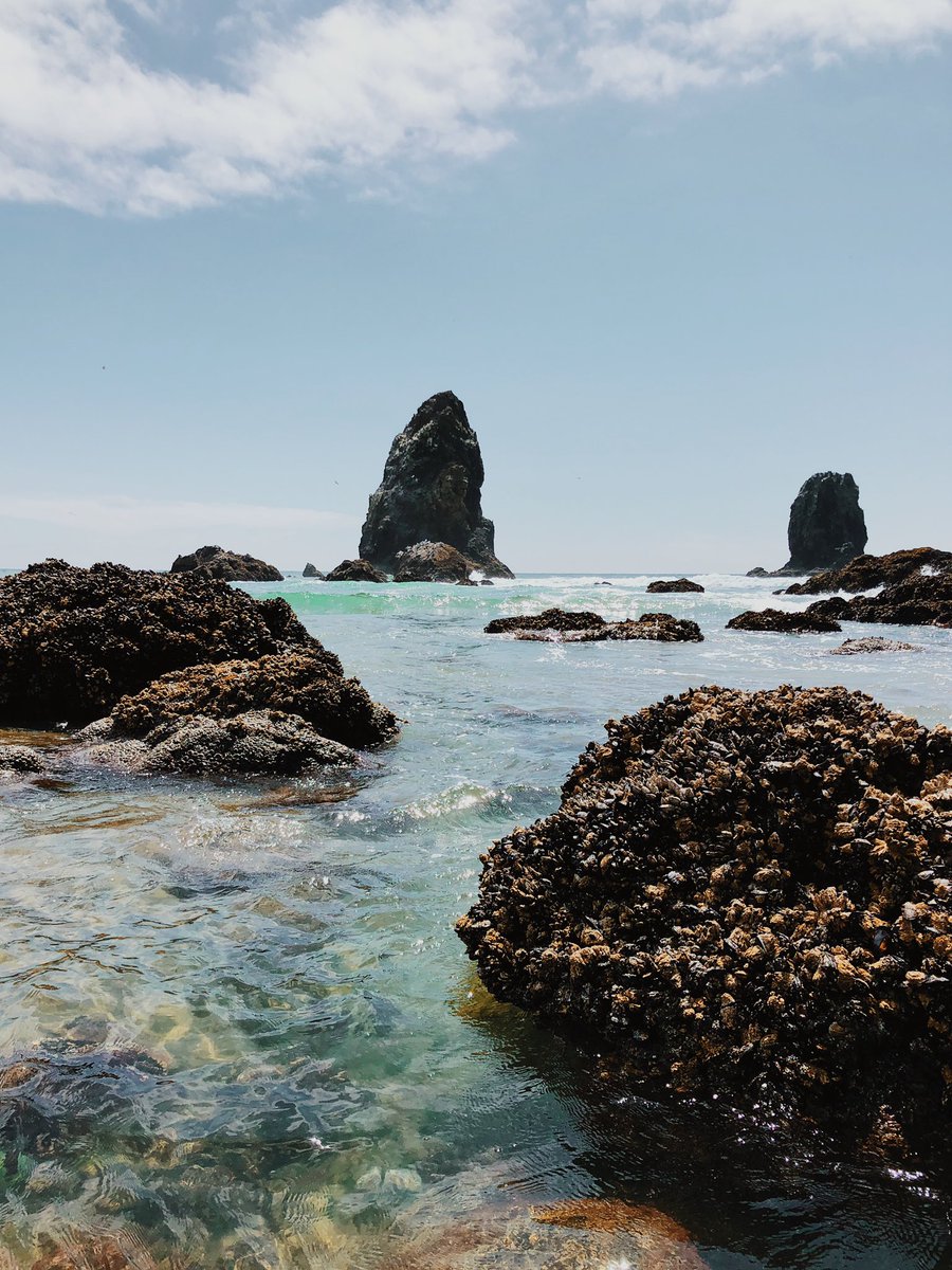 hlockley's tweet photo. Explored the shores of Cannon Beach last weekend - not bad, Oregon https://t.co/mf8ydwSQHG