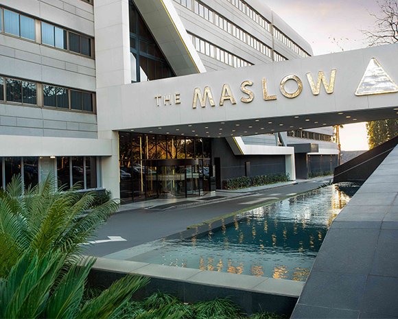 Leisure Options tweet media