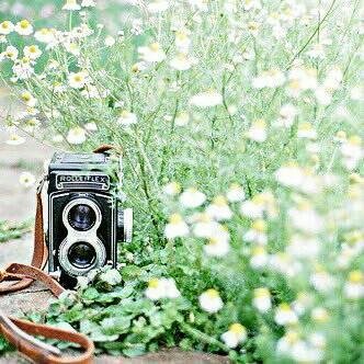 94HYW_'s tweet photo. Wo new life 🌈 สวัสดีคร้าบผม 'อาฮยวง' เมจฮยองวอน DJ https://t.co/4BQ2h0AaIF #บอทมอนต้า 1994 นิวแอคมาใหม่อยากสาน3k กับทุกๆๆคนโดยการ "ตามทัก + แลกฟอล" 🙆‍♂️ เพราะอาฮยวงอยากจะแจกความคูลให้ทุกคนแม้แดดจะแผดเผาก็ตาม!!
ขออนุญาต ยพท. rtตามทักครับ 🐸🍃 https://t.co/D5cXrxp4vz