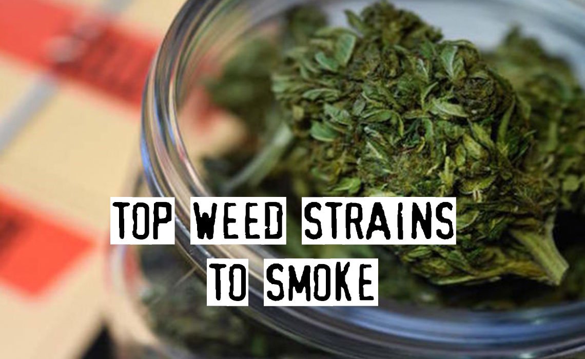 bestpot_ca's tweet photo. Top 13 Weed Strains To Smoke in 2019
https://t.co/Y762H7eO7h https://t.co/fqcvuoVpdB