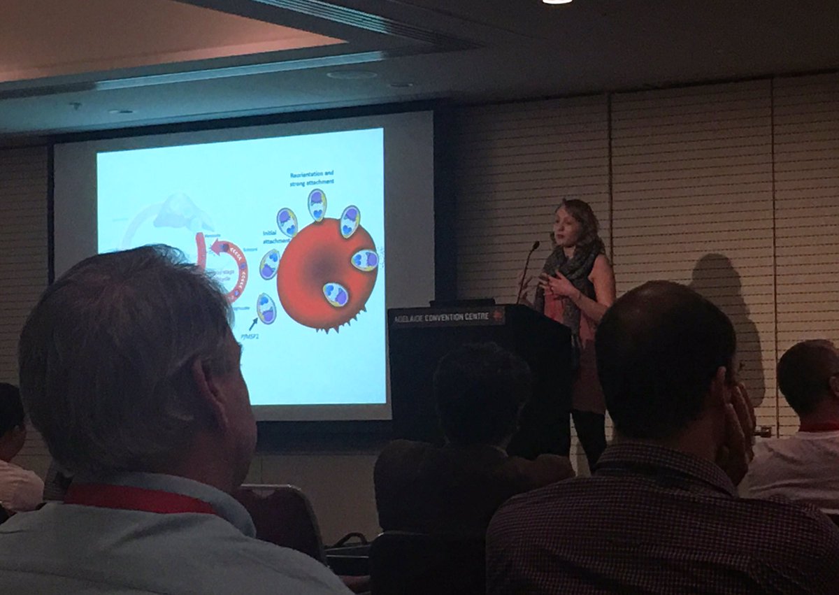 sonjzzz's tweet image. Our own @IssyHenshall in action at #2019ASP presenting her work on using MSP2 knockdown plasmodium  #parasites and immunity.
