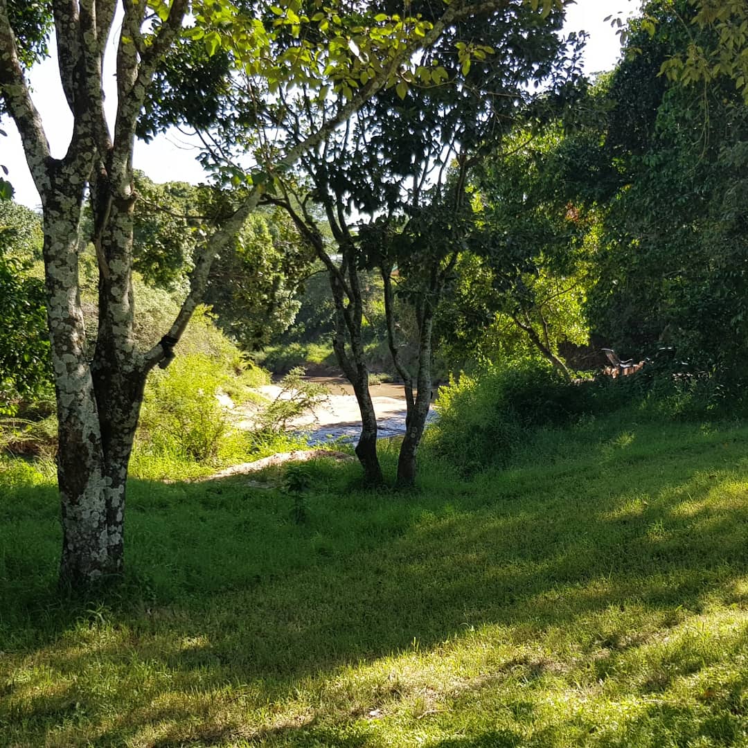 EK_Madsen's tweet photo. My home for the next 5 months. Its bigger than my room in London and has a view of the Talek River to wake up to, whats not to love? #fieldwork #cameratrapping #maasaimara https://t.co/K0yQQYroqX