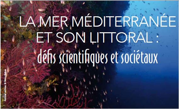 Agropolis International tweet media