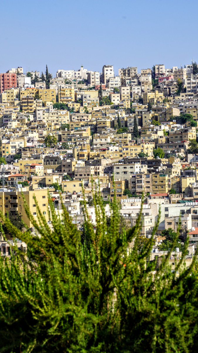 WafidInstitute's tweet photo. Our students have plenty of talent to share. A collection of great photography by one of our students on one of their trips during our Special program 2019
To live the whole experience with Wafid watch this short video
https://t.co/OyvGqts8NC
#eLearning #Student #Amman #Jordan https://t.co/BECd9w0xKe